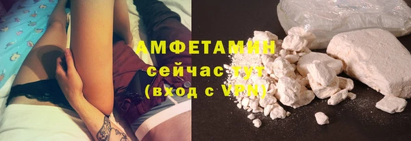 молекула духа Каменногорск