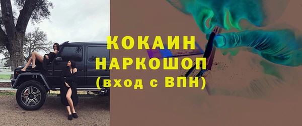 стаф Каменск-Шахтинский
