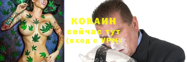 стаф Каменск-Шахтинский