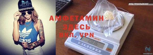 mdpv Каменка