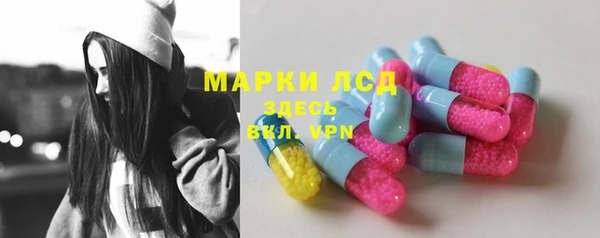стаф Каменск-Шахтинский