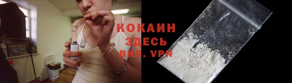 стаф Каменск-Шахтинский