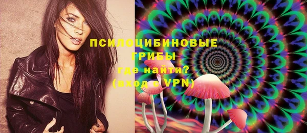 экстази Богородицк