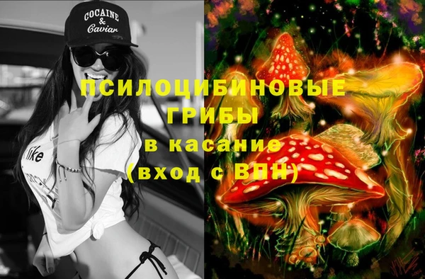стаф Каменск-Шахтинский