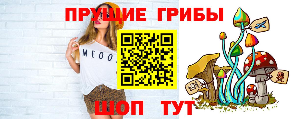 Псилоцибиновые грибы Psilocybe Новочеркасск