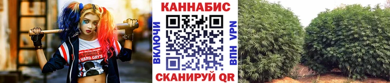 Конопля SATIVA & INDICA  Новочеркасск 